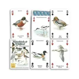 Waterbirds and Wildfowl Heritage Playing Cards