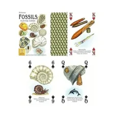 Fossils Playing Cards by Heritage