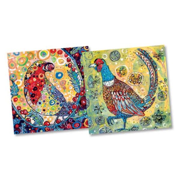 Illustrated eco-friendly Christmas cards by Sally Rich colourful cards depicting a pheasant on one card and a robin with a berry on the other