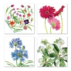 Billy Showell Botanicals Notecard Wallet 8 Notecards