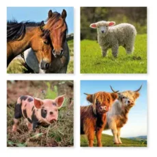 Down on the Farm Notecard Wallet 8 Notecards