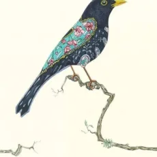 Blackbird Greeting Card by The DM Collection