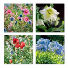 The Beauty of Flowers Notecard Wallet 8 Notecards