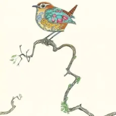 Wren Greeting Card by The DM Collection