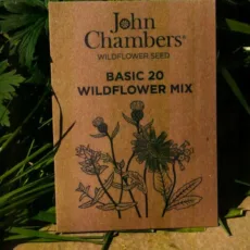 Basic 20 Wildflower Mix - John Chambers Wildflower Seed