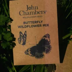 Butterfly Wildflower Mix - John Chambers Wildflower Seed