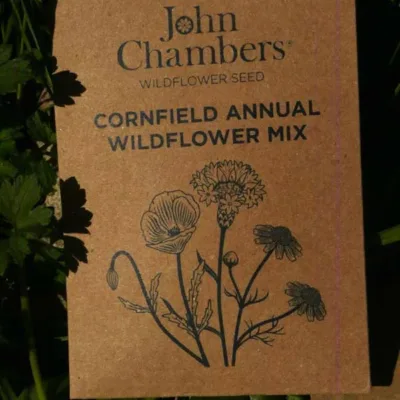 Cornfield Annual Wildflower Mix - John Chambers Wildflower Seed