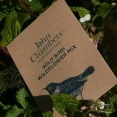 Wild Bird Wildflower Mix - John Chambers Wildflower Seed