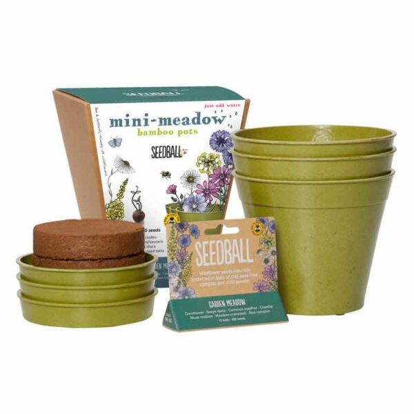 Seedball kit for mini meadow with 3 stacked green bamboo pots, saucers, coir pellets, kit box and triangular tube containing the seeds
