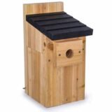 Cedar wood bird nest box in natural wood with a black roof