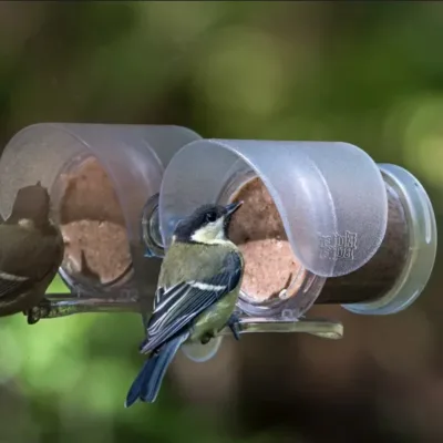 Flutter butter pod in a clear Flutter Butter window feeder attached to a window being eaten by a tit bird