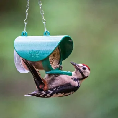 Flutter Butter Feeder