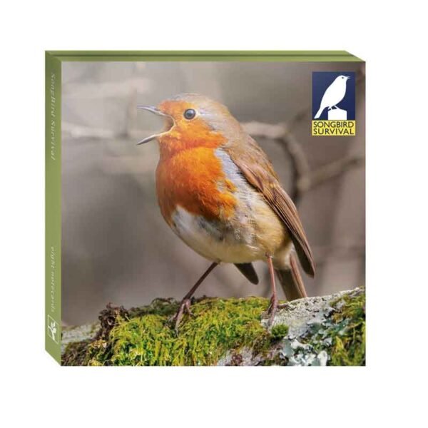 Front cover of the Songbird Survival Notecard pack with a robin signing