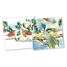 songbirds eco=friendly christmas cards by rachel toll with a wren and a robin in holly and another a blue tit and a great tit in holly