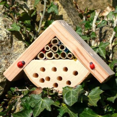 Bobbys bug box hung on a tree nestled in ivy