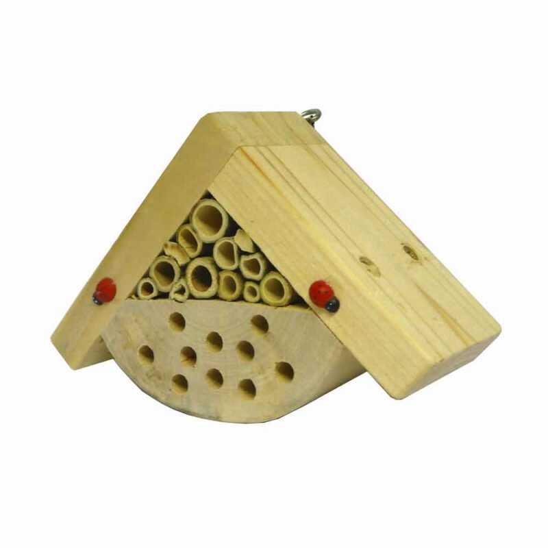 bobbys bug box in a white background