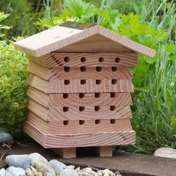 solitary bee hive front view on the ground