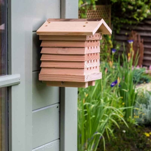 solitary bee hive side view on a shed