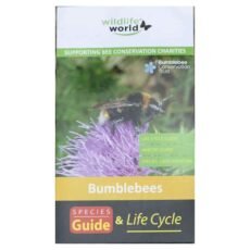 UK bumblebees guide by wildlife world front cover