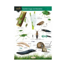 FSC Wild ID garden bugs and beasties Guide front page of the FSC guide