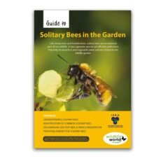 The Solitary Bee Guide front page