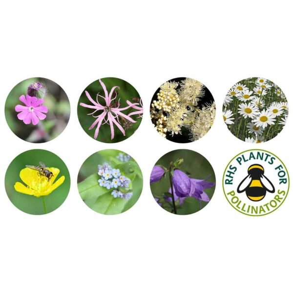 set of seven circles each containing an image of a wildflower species from the shade mix. the final circle contains the RHS Plants for Pollinators Logo