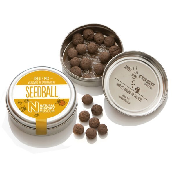 a closed tin next to an open tin of beetle mix seedball tin showing the seedballs and underside of the screw top lid