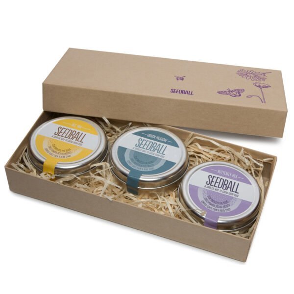 Wildlife Kitchen Garden Mix & Gift Box by Seedball - Image 6