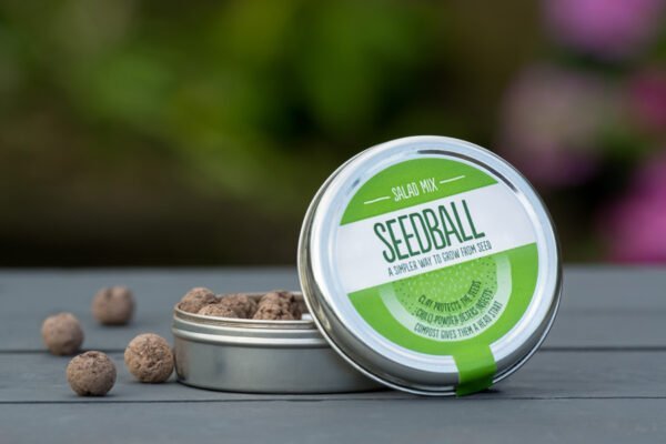 salad mix seedball tin with lid off propped against the tin with seedballs