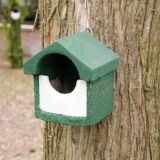 national trust open front nest box in green and white fixed to a tree trunk