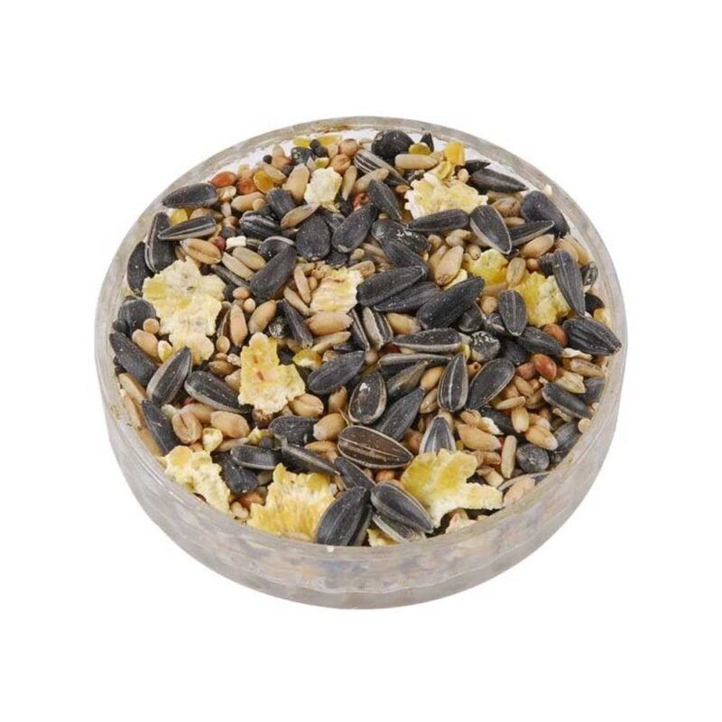 round dish filled with premium wild bird food on a white background