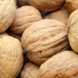 Close up of light brown walnuts in their shells