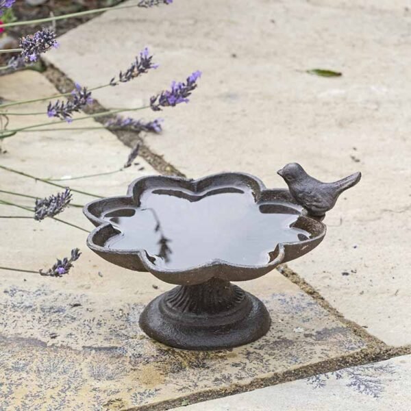 Old Iron Buttercup Water Dish Bird Dish by Jacobi Jayne filled with water on a patio near lavender flowers