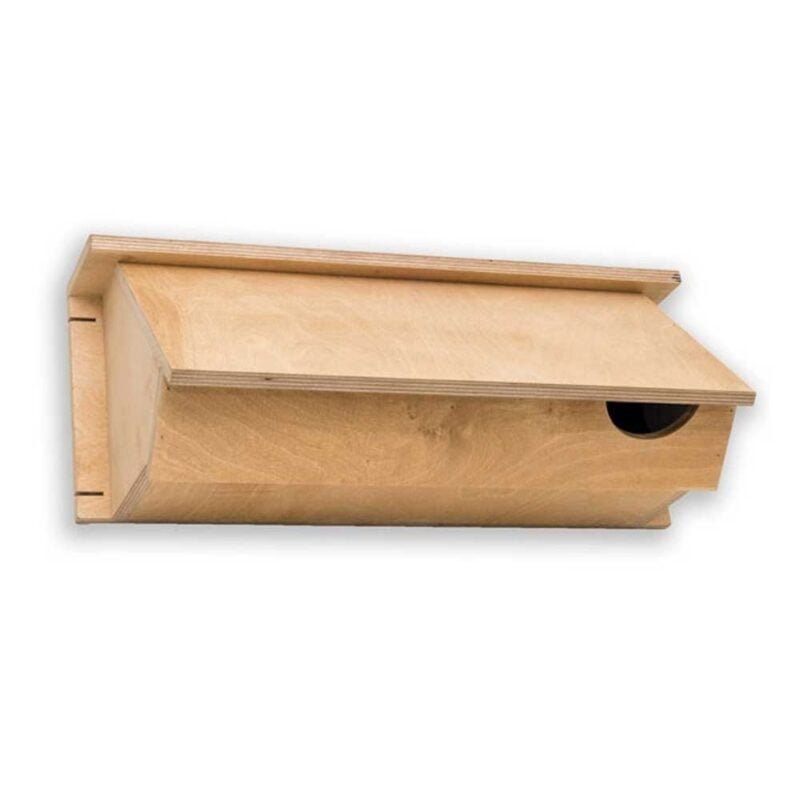 Blonde plywood Swift Nest Box with entrance hole on the right hand side of the front on a white background