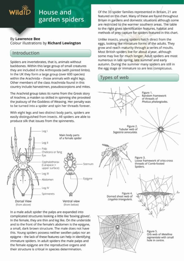 FSC Wild ID Guide for House and Garden Spiders information page with illustrations of spiders webs