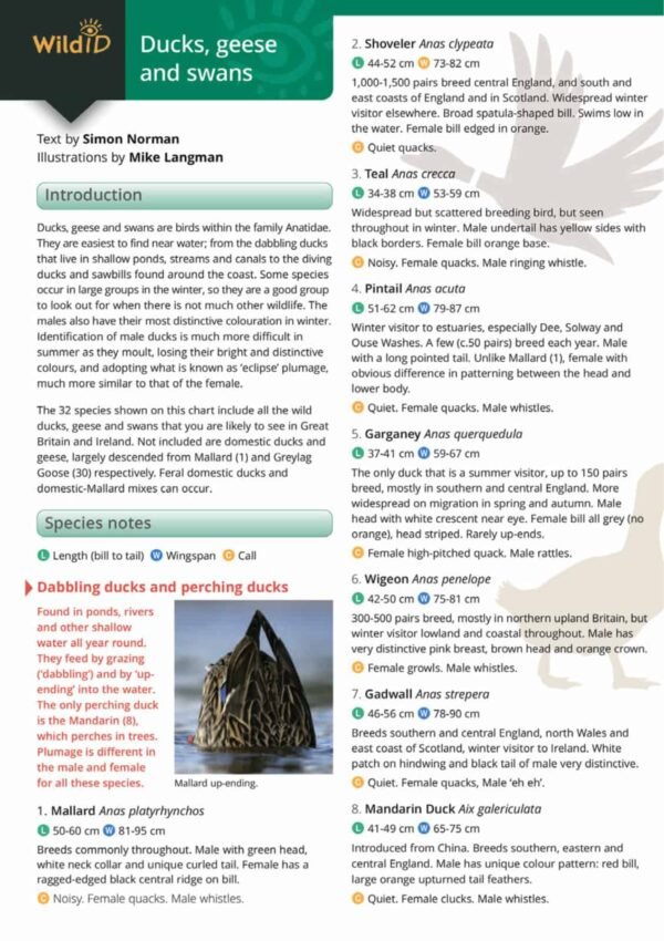 An information page of FSC Wild Id Ducks Geese and Swans Guide