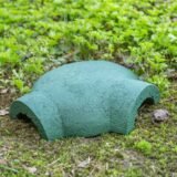 Mid Green WoodStone frog and toad house on damp ground with a toad sitting to the right hand side near an opening