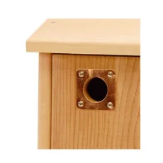 Copper Nest Box Protection Plate on a wood nest box on a white background