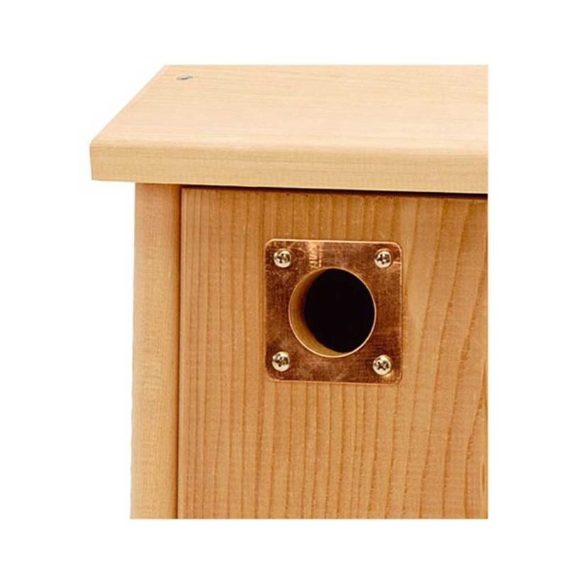 Copper Nest Box Protection Plate on a wood nest box on a white background