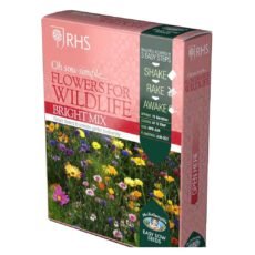 Pink box of seeds from RHS Oh Sow Simple Bright Mix plants for pollinators range