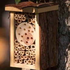 JAcobi Jayne's Nooks and Crannies Insect Cabin hung on a tree trunk