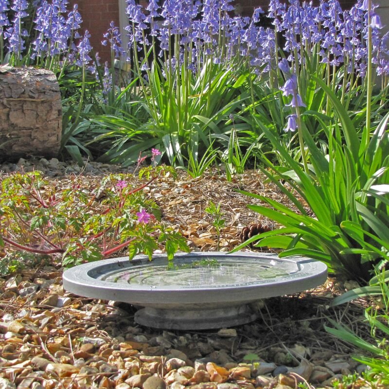 Aristotle oasis bird bath from Wildlife World side view sat on gravel