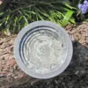 Aristotle oasis bird bath from Wildlife World sat on a log