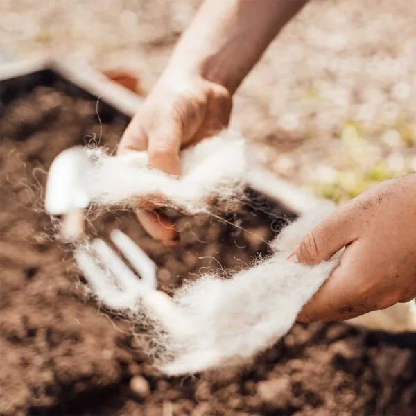 Hortiwool pads being ripped apart