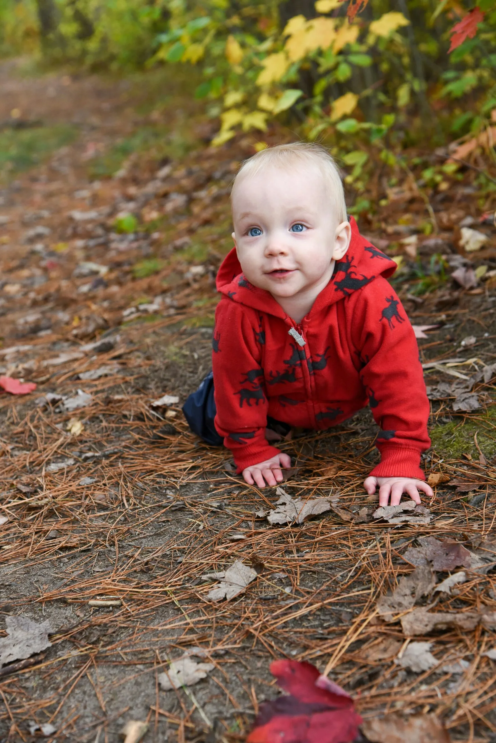 a baby is crawling on the ground in the woods