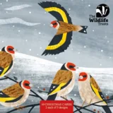 Goldfinches front of The Wildlife Trusts British Wildlife Art Mixed Christmas cards