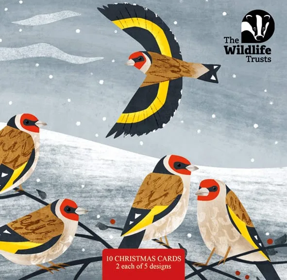 Goldfinches front of The Wildlife Trusts British Wildlife Art Mixed Christmas cards