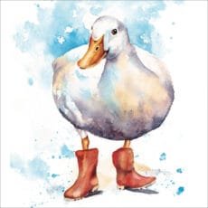 eco friendly blank greeting card by Rachel Toll with a white duck facinf front wearing red wellies