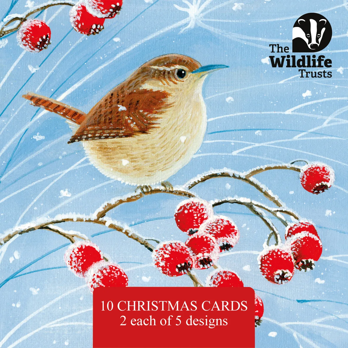 The Wildlife Trusts Mixed Art Wildlife Christmas cards for 2025 depicting a wren with berries on a blue and snowy background