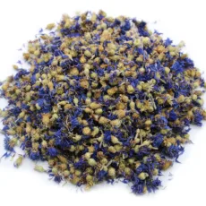 Blue cornflowers dried in a small pile on a white background